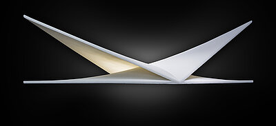 Foto zeigt eine Visualisierung für materialminimierte Carbonstrukturen